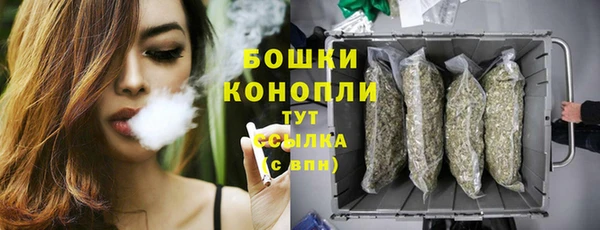 сатива Кинешма